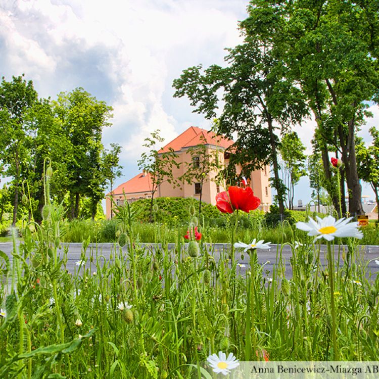 Zespół Pałacowo-Parkowy w Podzamczu Chęcińskim