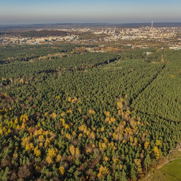 Biesak - Białogon Reserve