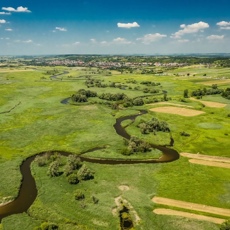 The Nadnidziański Landscape Park – River Nida Meanders in the Gypsum Land