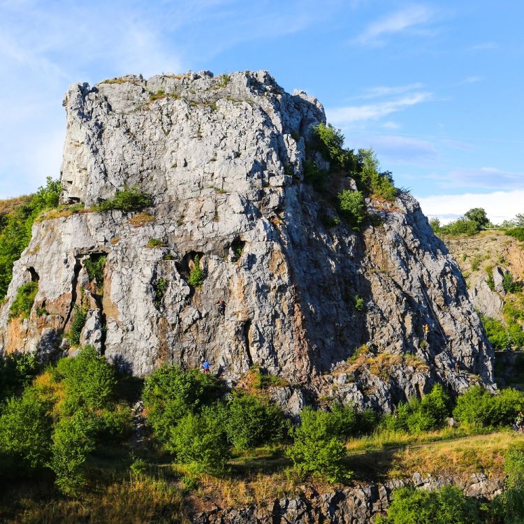 Caves in Kadzielnia Reserve