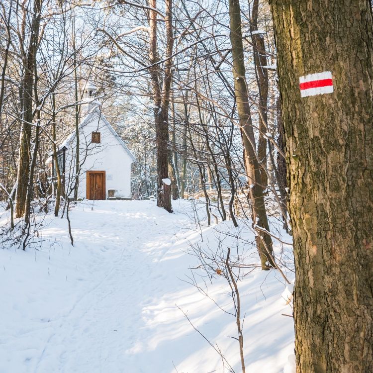 Rezerwat "Kręgi Kamienne"