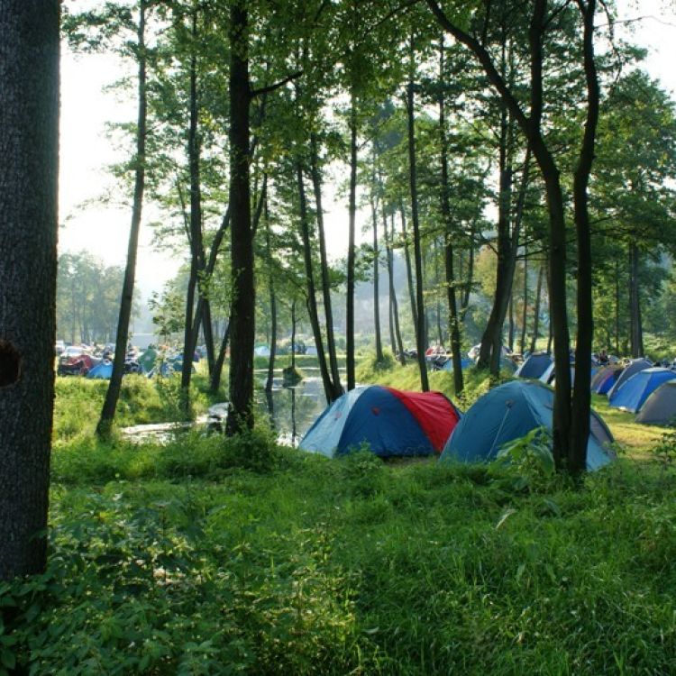 Pole namiotowe i kempingowe w Bałtowie