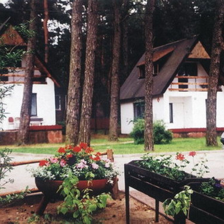 Ptaszyniec