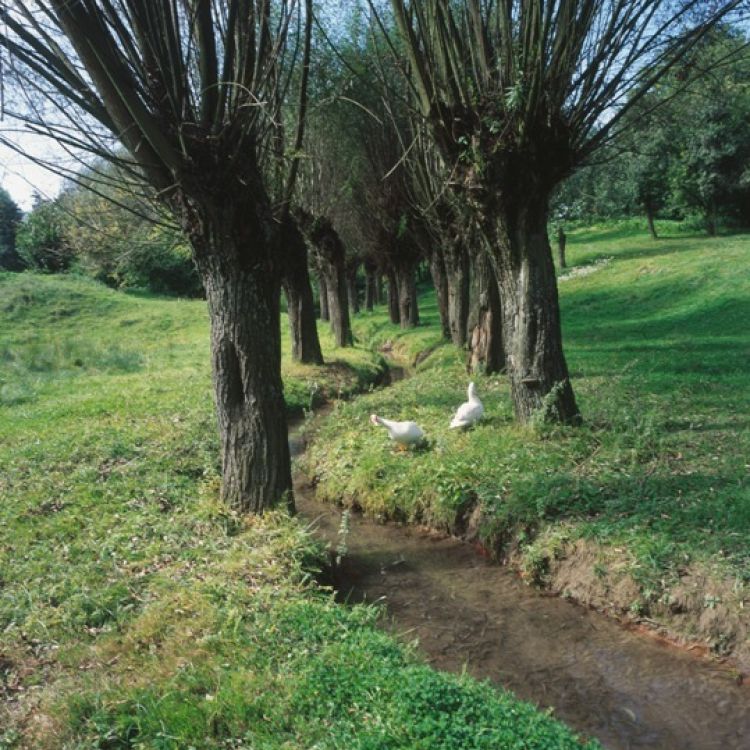 The Szaniecki Landscape Park