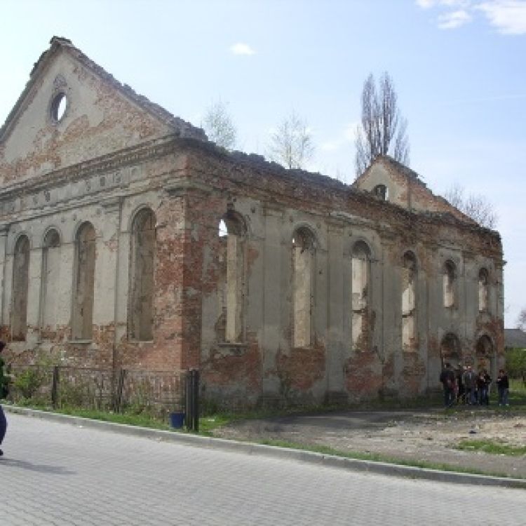 Kultura żydowska w Działoszycach