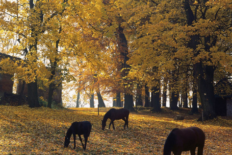 Autumn in Świętokrzyskie