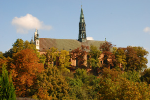 Katedra NMP w Sandomierzu