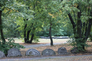 Cmentarz Żydowski w  Kielcach