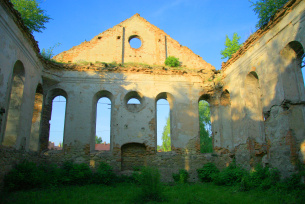 Ruiny synagogi w Działoszycach