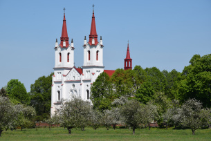 Kościół Wniebowzięcia Najświętszej Maryi Panny w Dzierzgowie