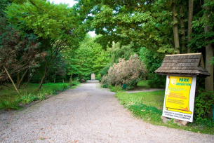 Arboretum w Czarncy