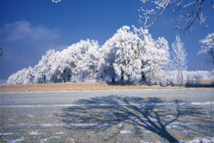 Zimowe krajobrazy
