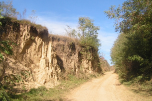 Loess Ravine near Szczaworyż