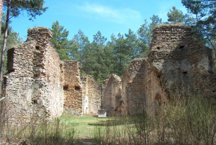 Ruiny na górze św. Michala w Gruszczynie