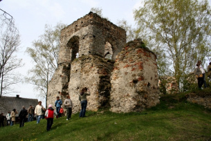 Ruiny dworu w Łapczynej Woli