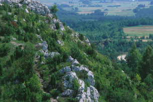 Rezerwat Góra Miedzianka