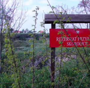 Rezerwat Skorocice