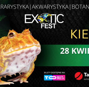 Exotic Fest