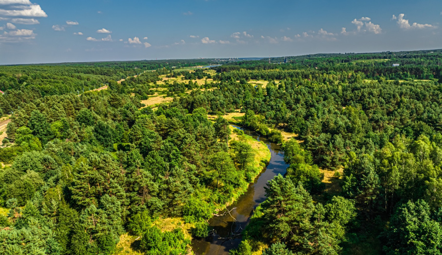 Rzeka Kamienna w okolicach Marcinkowa