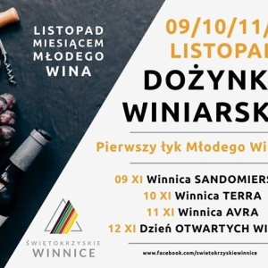 Listopad miesiącem młodego wina - Dożynki Winiarskie