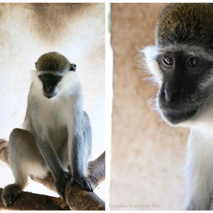 ZOO Leśne Zacisze