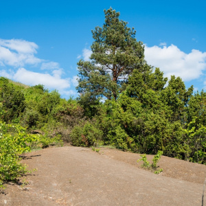 Das Pfeffer-Gebirge und die Schlucht der Königin Hedwig