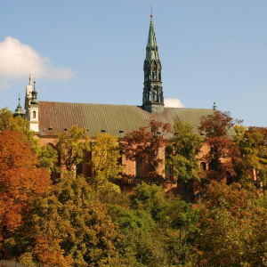 Marienkathedrale in Sandomierz