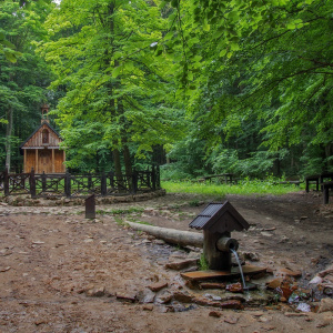 Świętokrzyski National Park