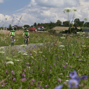 The Suchedniowsko-Oblęgorski Landscape Park – Primeval Forest and Industrial Heritage