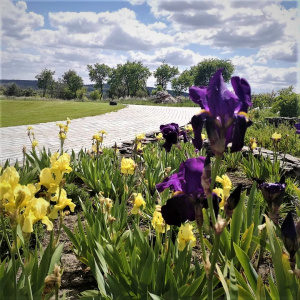 Ogród botaniczny w Kielcach