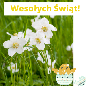 Wesołych Świąt