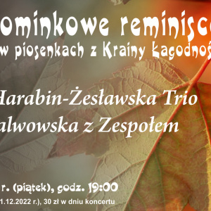Pokominkowe reminiscencje w piosenkach z Krainy Łagodności