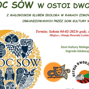 Noc Sów w Ostoi Dworskiej