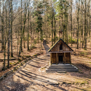 "Na Łysicę" - Puszcza Jodłowa