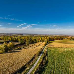 Dla aktywnych -Ścieżka rowerowa Wiślica-Kazimierza Wielka-Proszowice