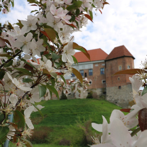 Majówka w Muzeum Zamkowym w Sandomierzu