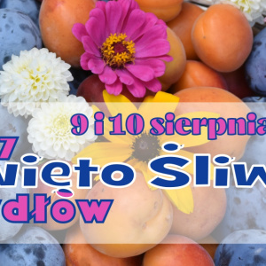 27. Święto Śliwki w Szydłowie