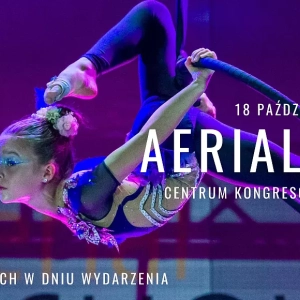 AERIAL SHOW- Targi Kielce