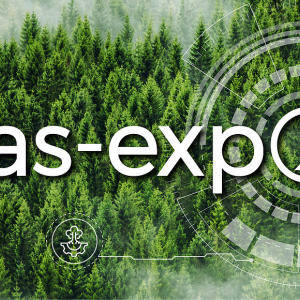 XXV Targi Przemysłu Drzewnego i Gospodarki Zasobami Leśnymi LAS-EXPO