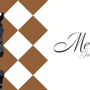 Memoriał Jana Kowalczyka- Zawody na poziomie CSI1* i CSI2*