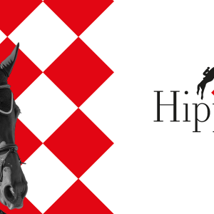 Międzynarodowe Targi Jeździeckie HIPPIKON EXPO