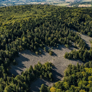 Zamknięcie ścieżek edukacyjnych na Przełęcz Hucką i na Przełęcz Świętego Mikołaja w Świętokrzyskim Parku Narodowym