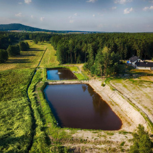 Komfortowy Leśny Dworek