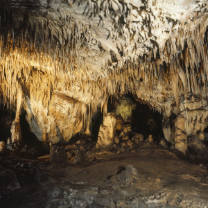 „Z Raju do Piekła” – Kompleks leśny Pasmo Zelejowskie