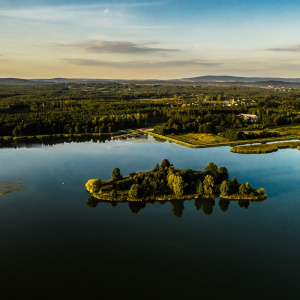 „Przez Daleszyckie Lasy” – Lasy Cisowskie