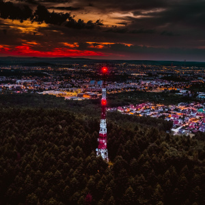 „Wokół Pierścienicy i Telegrafu” - Lasy Zgórskie