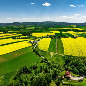 Rezerwat Góra Jeleniowska