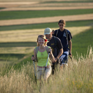 Grzbietem Pasma Brzechowskiego