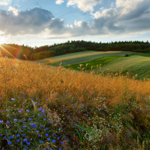 Sieradowicki Park Krajobrazowy
