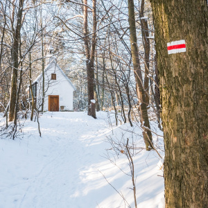 Rezerwat "Kręgi Kamienne"